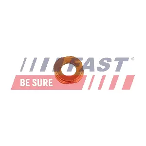 FT02333 FAST