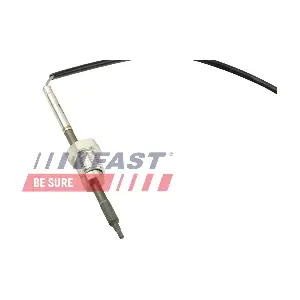 FT80281 FAST
