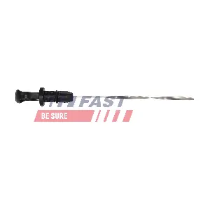 FT01732 FAST