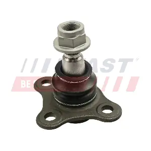 FT17051 FAST