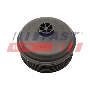 FT38204 FAST