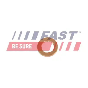 FT02335 FAST