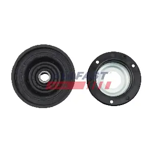 FT12051 FAST