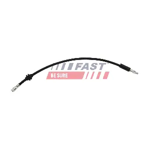 FT10117 FAST