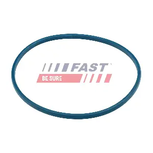 FT48504 FAST