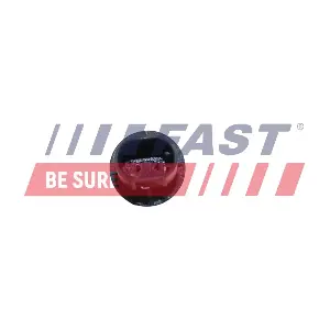 FT81201 FAST