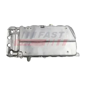 FT49386 FAST