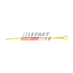FT10678 FAST