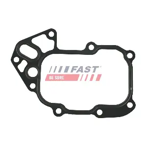 FT48548 FAST