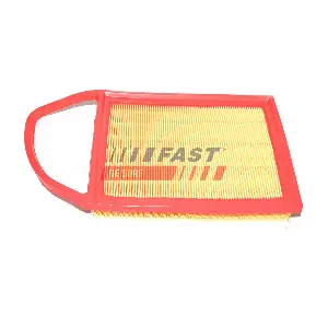 FT37134 FAST