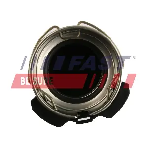 FT61976 FAST