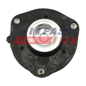 FT12021 FAST