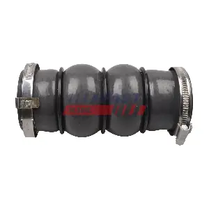 FT61769 FAST