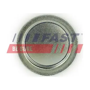 FT49308 FAST