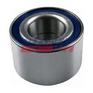 FT21001 FAST