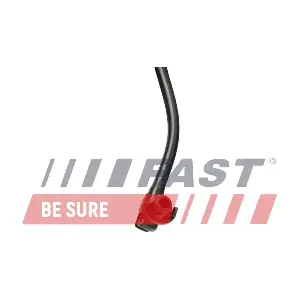FT00231 FAST