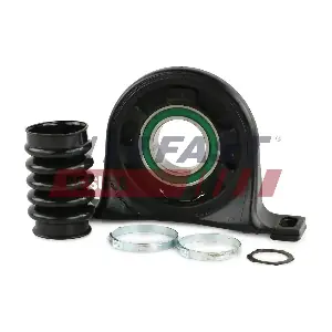 FT28051 FAST