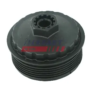 FT94719 FAST
