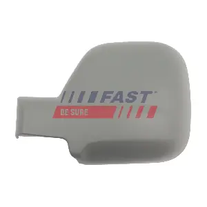 FT10273 FAST