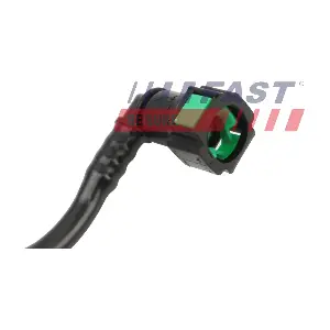 FT00925 FAST