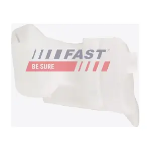 FT94916 FAST