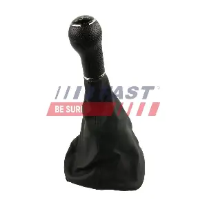 FT09028 FAST
