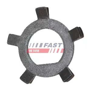 FT26037 FAST
