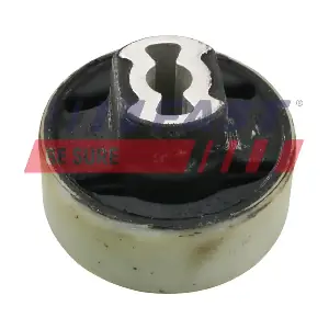 FT18055 FAST