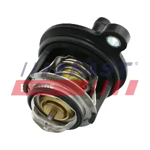 FT58030 FAST