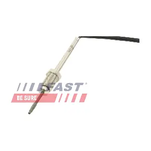 FT80269 FAST