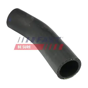 FT61763 FAST