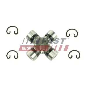 FT28076 FAST
