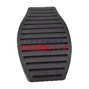 FT13054 FAST