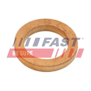 FT48802 FAST