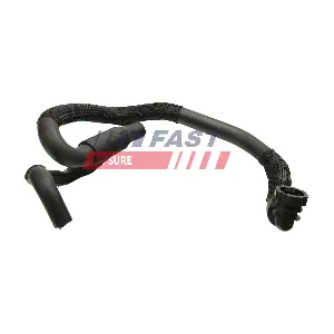 FT61172 FAST