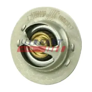 FT58009 FAST