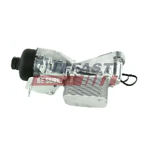 FT55213 FAST