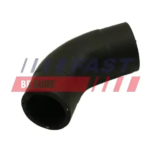 FT61097 FAST