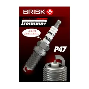 2105 BRISK