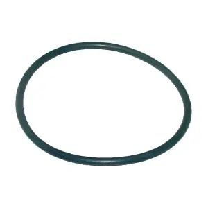 202383 DSS