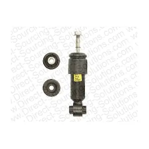 290299OEM DSS