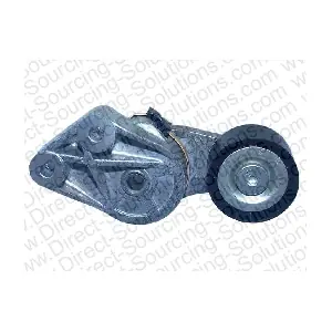 208593 DSS