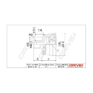 DP2110.10.1107 Dr!ve+