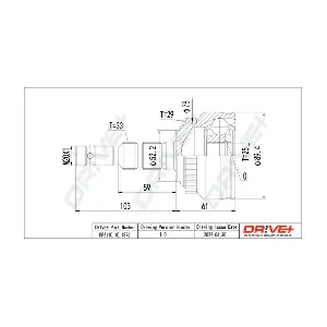 DP2110.10.1376 Dr!ve+