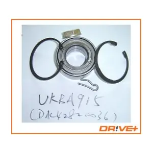 DP2010.10.0106 Dr!ve+