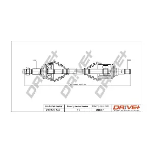DP2110.10.1029 Dr!ve+
