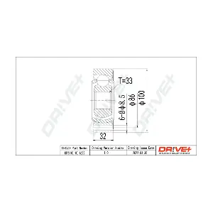 DP2110.10.1622 Dr!ve+