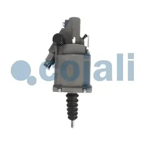 2550803 COJALI