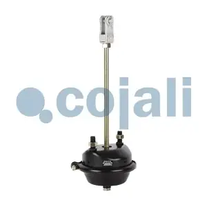 2251104 COJALI