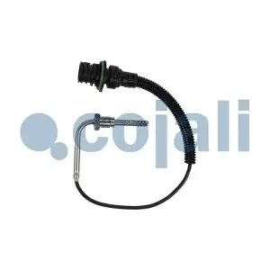 2260901 COJALI